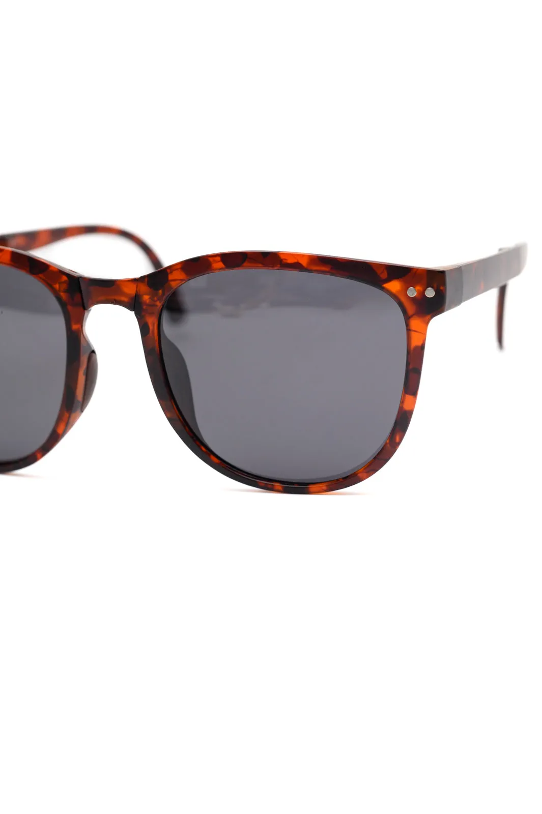 Collapsible Girlfriend Sunnies & Case in Tortoise Shell