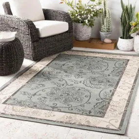 Joel Outdoor Area Rug Carpet for Living Room Bedroom or Kitchen